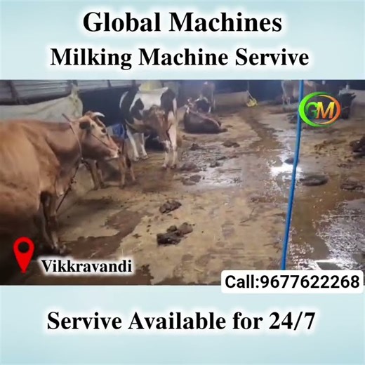 🐮 Installation for Milking machine💪💯 for more details call us 9677622268 #milkingmachineforcow