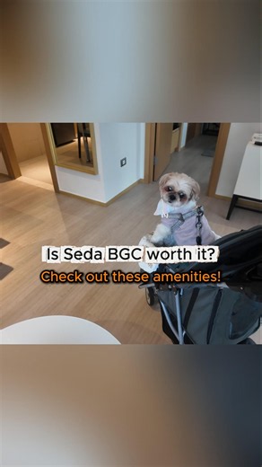 Pool, gym, rooftop bar & more at Seda BGC! #StraightUpBar #StaycationPH #PetFriendlyHotel