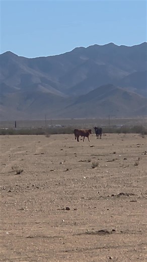 She found her momma 😭 | Morgan House