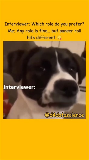 DATA SCIENCE on Instagram: "“Relatable? Then hit follow for more 😌🔥” . . Follow @d4datascience Follow @d4datascience Follow @d4datascience . . #datascience #machinelearning #ai #artificialintelligence #python #deeplearning #ml #programming #coding #datacommunity #datascientist #bigdata #sql #analytics #dataanalytics #tech #developer #education #learning #technology #innovation #datamining #machinelearningproject #datascienceproject #pythonprojects #mlengineer #aiengineer #career"