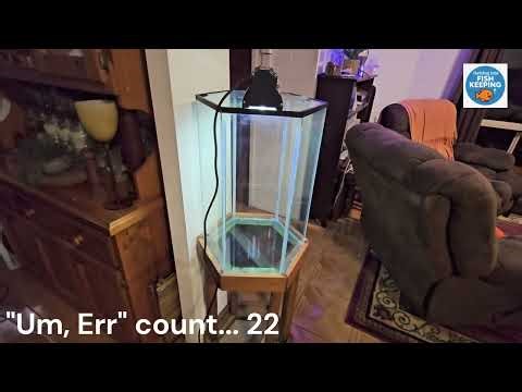 🐠 Planning a New Hexagonal Tank | Chill Day with Bandit 🐾