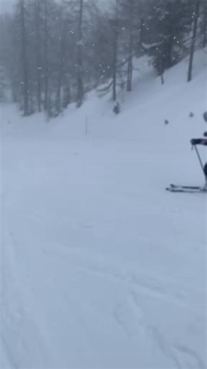 Contact to book a lesson instructor #skilesson #skiing #skiteacher | Jasonleftwrightleft