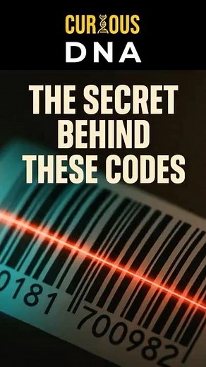 The Hidden secret Behind these codes