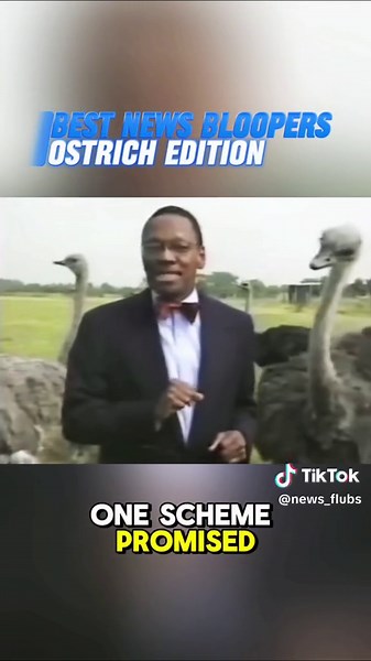 Best News Flubs | The ostrich had eyes on that bow tie from the start 👀#newsbloopers #newsfails #newsanchor #ostrich #newsflubs