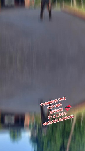 FOR ALL YOUR DANGEROUS AND OVERGROWN TREES  868 315-2986  | Trinidad Tree Cutting | Facebook