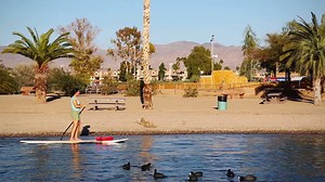 11K views · 313 reactions | Welcome to Lake Havasu City's Rotary Community Park, the perfect place for an afternoon getaway! #LakeHavasuCity #PlayLikeYouMeanIt #RotaryPark | Go Lake Havasu | Facebook