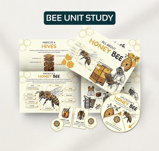 Life Cycle of a Honey Bee Science Unit Study Homeschool Summer Activities Bee Life Cycle Spinner & Anatomy Honey Bee Poster and Flash Cards - Etsy