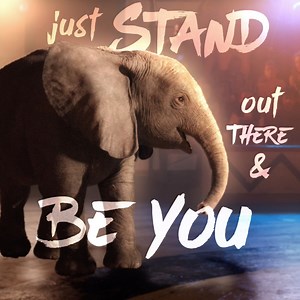 Celebrate #WorldElephantDay with Ruby! 🐘 Watch her story come to life in The One and Only Ivan, streaming August 21 exclusively on Disney . | Walt Disney Studios