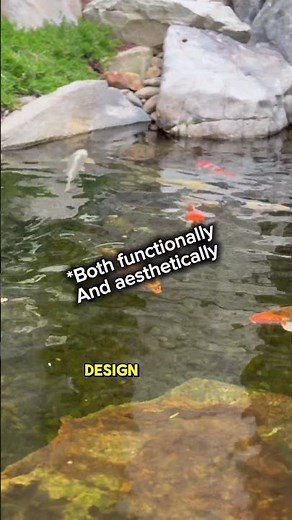 An Automatic or Manual Pond? 🤔🌱 #ecosystempond #aquascape #koi #koipond