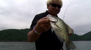 Catching Crappie in Deep Brush Piles Jimmy and Wally Marshall are crappie fishing on Broken Bow Lake in Oklahoma. #crappiefishing #fishingtips SUBSCRIBE TO ALL OUR CHANNELS and FACEBOOK Jimmy Houston Facebook Fan Page https://www.facebook.com/JimmyHoustonOutdoors Jimmy Houston Outdoors Channel https://www.youtube.com/channel/UCk7hb7lBB9KvZCvAunQ1eKw Catch a Better Life Channel https://www.youtube.com/@CatchABetterLife Jimmy and Chris Houston's Twin Eagle Ranch Channel https://www.youtube.com/@Tw