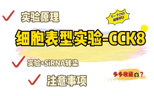 细胞表型实验|细胞增殖|CCK8|实验原理|siRNA转染的板布局|实验步骤|实验注意事项