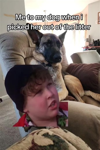 CrazyKidSteff (@crazykidsteff)’s videos with original sound - Lourdes ThyroidHiveJourney