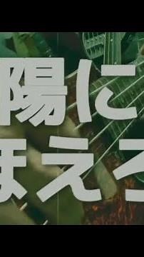 太陽にほえろ！のテーマ(TV OP size) / 井上堯之バンド (Bass Play along)