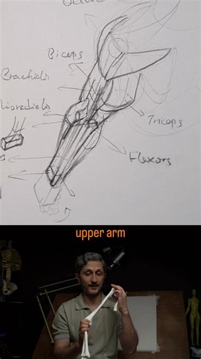Simplify the arm into form & structure #howtodraw #artschool #figuredrawing #artfundamentals