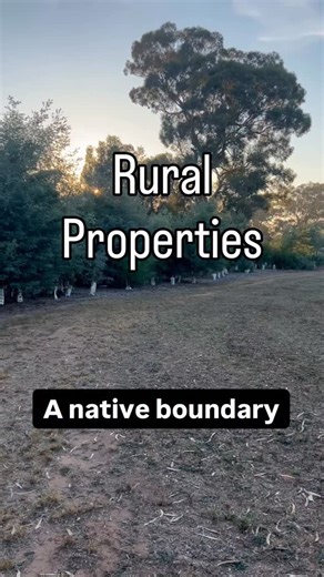 Kathleen Murphy Landscape Design on Instagram: "Boundary planting on rural properties is different. It’s not a hedge. It’s not a row of trees. It’s layered. Considered. Designed for wind, wildlife and long-term growth. Inside my Native Boundary Screening Mini Course I show you how to get it right from the start. See Link in bio for details. #gardendesign #gardenplanning #sustainablegardening"