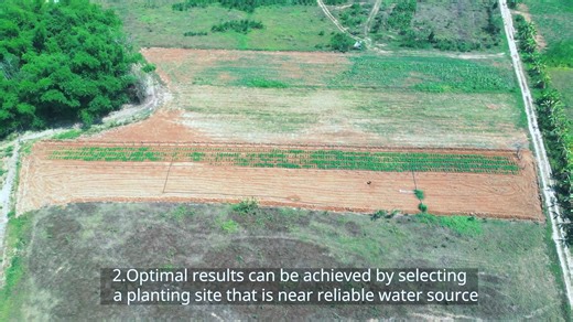 𝐀𝐮𝐬𝐭𝐫𝐚𝐥𝐢𝐚 𝐚𝐢𝐝𝐬 𝐋𝐚𝐨 𝐟𝐚𝐫𝐦𝐞𝐫𝐬 𝐢𝐧 𝐟𝐨𝐫𝐚𝐠𝐞 𝐩𝐫𝐨𝐝𝐮𝐜𝐭𝐢𝐨𝐧 ໂດຍຜ່ານສູນຄົ້ນຄວ້າກະສິກຳສາກົນຂອງປະເທດອົດສະຕຣາລີ, ພວກເຮົາ ກໍາລັງປັບປຸງ ຊີວິດການເປັນຢູ່ຂອງຊາວກະສິກອນ ດ້ວຍການ ພັດທະນາ ແລະ ສົ່ງເສີມນະວັດຕະກໍາໃນການຜະລິດແບບໃໝ່. ໃນວີດີໂອນີ້ທ່ານຈະໄດ້ຮຽນຮູ້ວິທີຄັດເລືອກແນວພັນ ແລະ ສະຖານທີ່ການປູກພືດອາຫານສັດ. ຄວາມຮູ້ທີ່ໄດ້ຮຽນຮູ້ຈະຊ່ວຍໃນການຕັດສິນໃຈ ເພື່ອສົ່ງເສີມໃຫ້ຜົນຜະລິດດີຂື້ນ ແລະ ມີພືດອາຫານສັດພຽງພໍສຳລັບສັດລ້ຽງ. ເບິ່ງວິດີໂອຫົວຂໍ້ທີ່ຜ່ານມາທີ່: https://www.youtube.com/watch?v=va97mMrWQHM