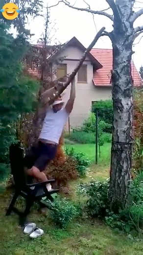 troll video compilation #amazing #amazingvideo #world #beautiful #Wonderful #wonderful #animals #animais #panda #pandabear #dacing #bear #asokamakeup #indiamakeup #india #naturelover #nature #natureza #love | Kira.iq