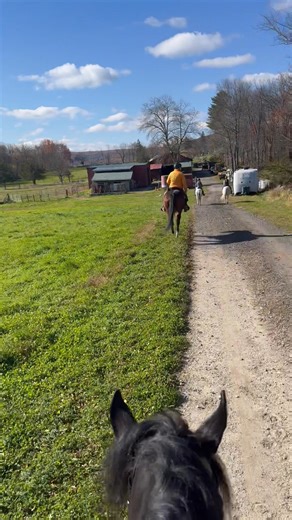 Brianna Sotnick on Reels