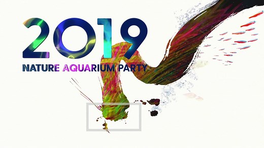ADA 2019世界造景大赛获奖作品欣赏