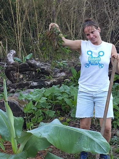 Grow Your Own Food: Homesteading & Off-Grid Living Tips