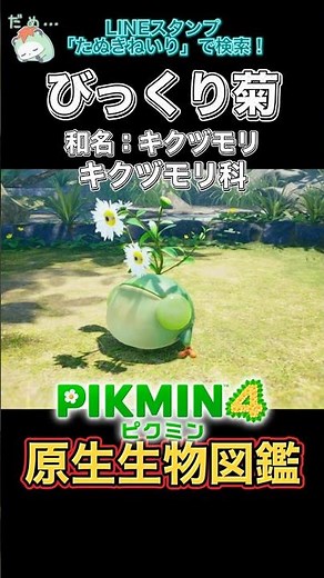 【ピクミン4】原生生物図鑑：びっくり菊の探索メモまとめ #Shorts #ピクミン4