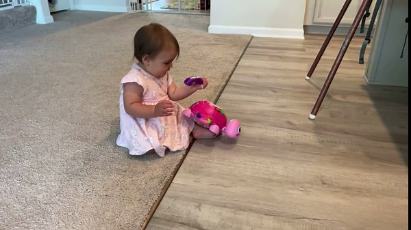 Hanayo Baby Musical Turtle Crawling Girl Toys for 6-18 Months，Infant Early Learning Educational Toy，Baby Girl Gift Essentials for Newborn 7 8 9 11+ Months 1-2 Year Old(Pink)