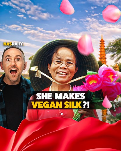 365K views · 7.6K reactions | She makes vegan silk?! This woman has thousands of silk worms, but she doesn't even touch them. Instead, she makes dresses from...flowers?! Thank you to Alan's Theory for sharing this story. To meet more inspiring people like Silk4world, join us in Vietnam with Nas Travels link in comments. | Nas Daily | Facebook