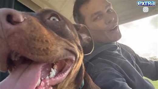 Tom Brady becomes the latest star to CLONE his pet, joining Paris Hilton, Barbra Streisand. 🐶🐶 | Extra