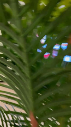 42K views · 204 reactions |  Upgrade your living room with a stunning TV Wall — built to fit your style.  Shop now: amazon.com/shop/tvmountla  Call us today: (646) 204-6014  Serving Los Angeles & surrounding cities. | Mounting | Facebook