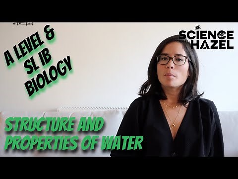 Structure And Properties Of Water | A Level & SL IB Biology