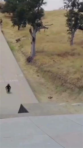 Hustlyhq on Instagram: "🚨 Anteriad Hiring | Software Development Engineer (AI) 🚨 📍 Bangalore Kickstart your career in AI-Powered Full Stack Development 🔥 💻 0–2 Years Experience ✔️ React.js + Tailwind CSS ✔️ Node.js / Express.js ✔️ Java + Spring Boot ✔️ REST APIs & Databases ✔️ GitHub & AI Tools (Copilot, ChatGPT, Claude, Cursor) Work in an Agile + DevOps environment building scalable web apps for global B2B clients 🌍 ✨ Perfect for freshers who love AI-assisted coding & modern tech stack 👉