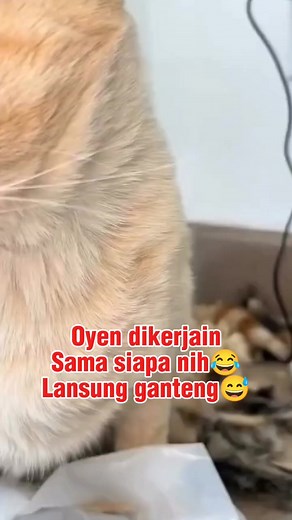 Ganteng Nggak aku😁😁😁 | Dunia Bulus