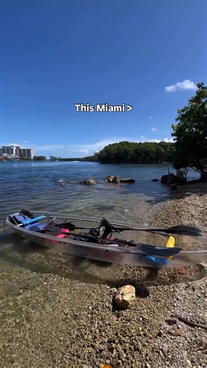 Nothing beats a front row seat to WILD Miami 🤙🛶😎 | Get Up And Go Kayaking