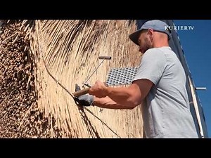 Reed Instead of Tiles: The Comeback of an Ancient Craft