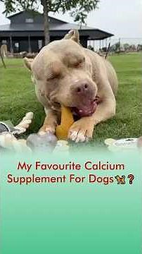 My Favourite Calcium Supplement For Dogs 🦮❓