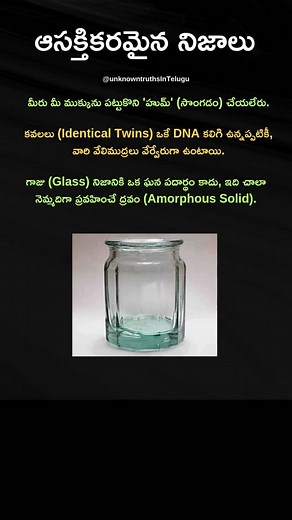 #14 interesting facts in telugu | Unknown Truths In Telugu