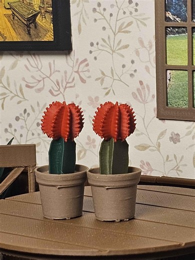 1:12 Scale Miniature Grafted Moon Cactus – Modern Dollhouse Potted Greenery (PLA) - Etsy