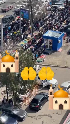 bazik 88 (@bazik_bazik)’s videos with original sound - bazik 88