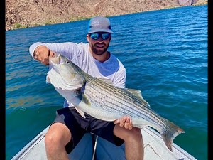Ep: 3 How to set up a Dropper Loop for Bait Fishing