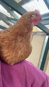 Many sounds to decipher before bed time - Audrey 🥰