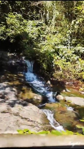 #Beauty of ghats and mountains❤️Charmadi ghat road trip #Byrapura #ethinabuja nature #kannadavideos