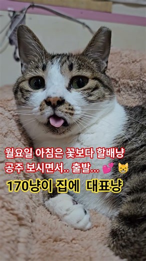 백두산 천지 속 깊은 눈방울의 할배냥 #공주 # 공영주차장 #연제구