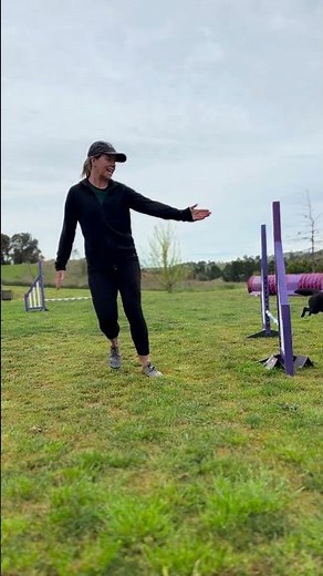 Agility training sequence - Front Cross. vs Blind Cross