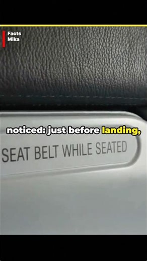 Why Planes Slow Down BEFORE They Land! ✈️🛑#shorts #airport #landing