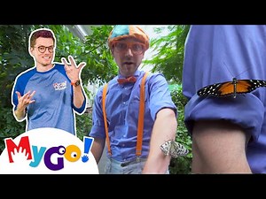 Blippi Visits a Zoo | MyGo! Sign Language For Kids | @Blippi | ASL - Videos For Kids