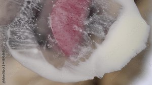 The cat licks sour cream from the glass on a bright white background. Cat's tongue close-up bottom view. Slow motion 100 fps.