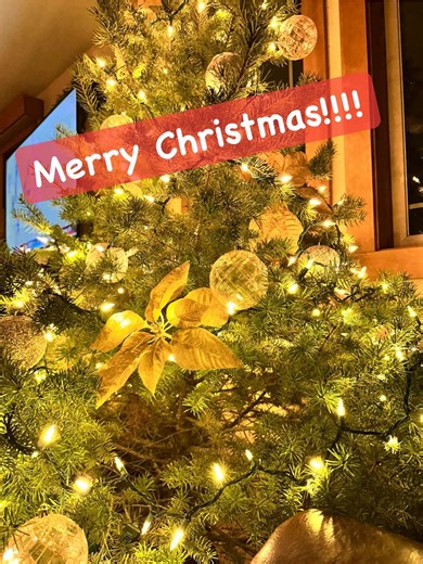 Merry Christmas! 🎄 Feeling incredibly grateful today—for faith, family, friendships, and the freedom to build a life I love. May your day be full of joy and warmth. | Lourdes Russell