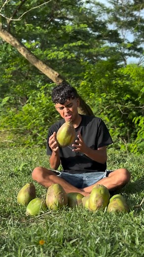 116K views · 6.1K reactions | Como abrir un coco 藍 #humor #reelsviral #viralchallenge #reels #video #elceja | El cejas humor | Facebook