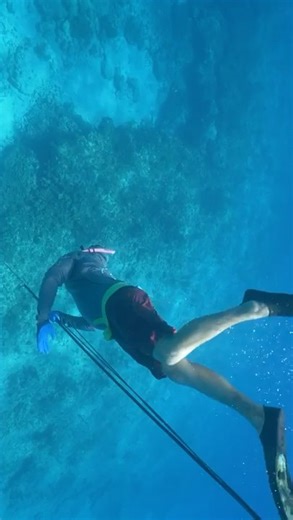 Medium Fins: Cold Water + Warm Spearfishing