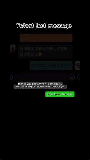 The Last Message from Fatcat - China's Fattest Cat | Cute and Viral Cat Videos